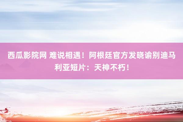 西瓜影院网 难说相遇!阿根廷官方发晓谕别迪马利亚短片:天神不朽!