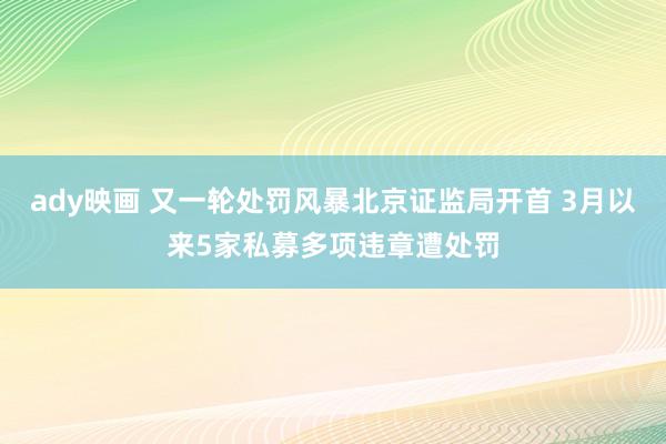 ady映画 又一轮处罚风暴北京证监局开首 3月以来5家私募多项违章遭处罚