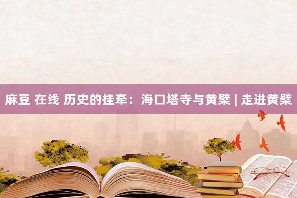麻豆 在线 历史的挂牵：海口塔寺与黄檗 | 走进黄檗