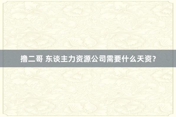 撸二哥 东谈主力资源公司需要什么天资？
