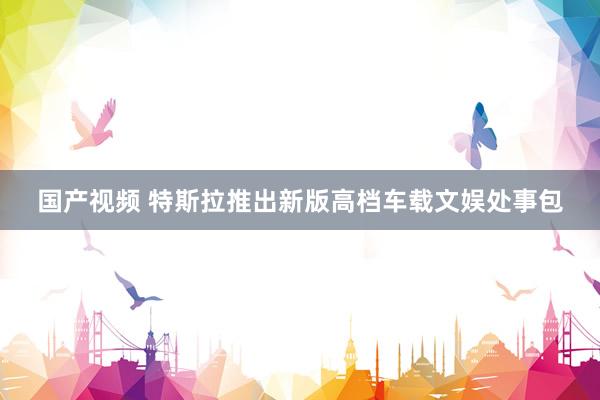 国产视频 特斯拉推出新版高档车载文娱处事包
