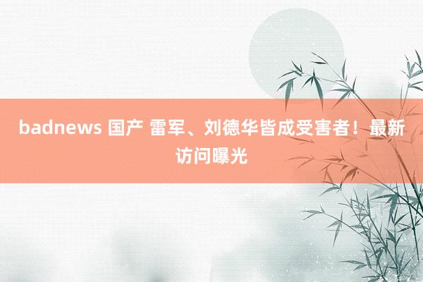 badnews 国产 雷军、刘德华皆成受害者！最新访问曝光