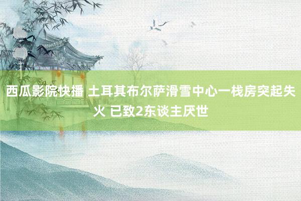 西瓜影院快播 土耳其布尔萨滑雪中心一栈房突起失火 已致2东谈主厌世