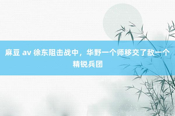 麻豆 av 徐东阻击战中，华野一个师移交了敌一个精锐兵团