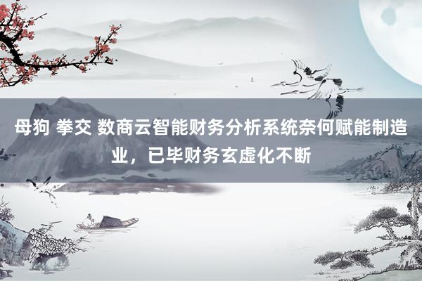 母狗 拳交 数商云智能财务分析系统奈何赋能制造业，已毕财务玄虚化不断