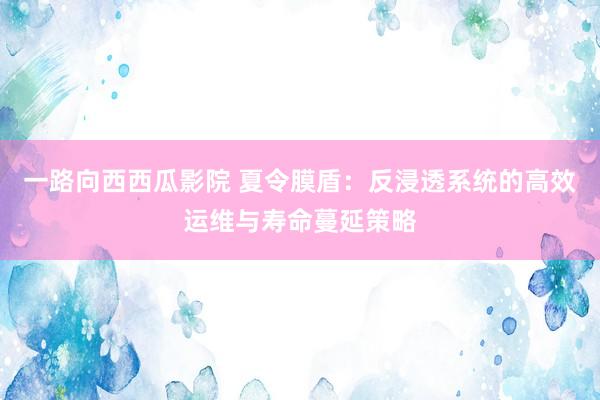 一路向西西瓜影院 夏令膜盾：反浸透系统的高效运维与寿命蔓延策略