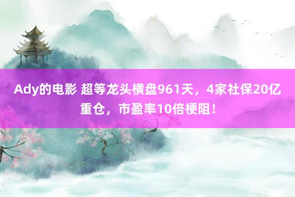 Ady的电影 超等龙头横盘961天，4家社保20亿重仓，市盈率10倍梗阻！
