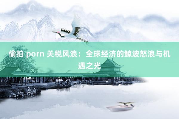 偷拍 porn 关税风浪：全球经济的鲸波怒浪与机遇之光