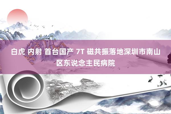 白虎 内射 首台国产 7T 磁共振落地深圳市南山区东说念主民病院